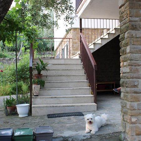 Bella Vista Bolognese Villa Trespiano ภายนอก รูปภาพ